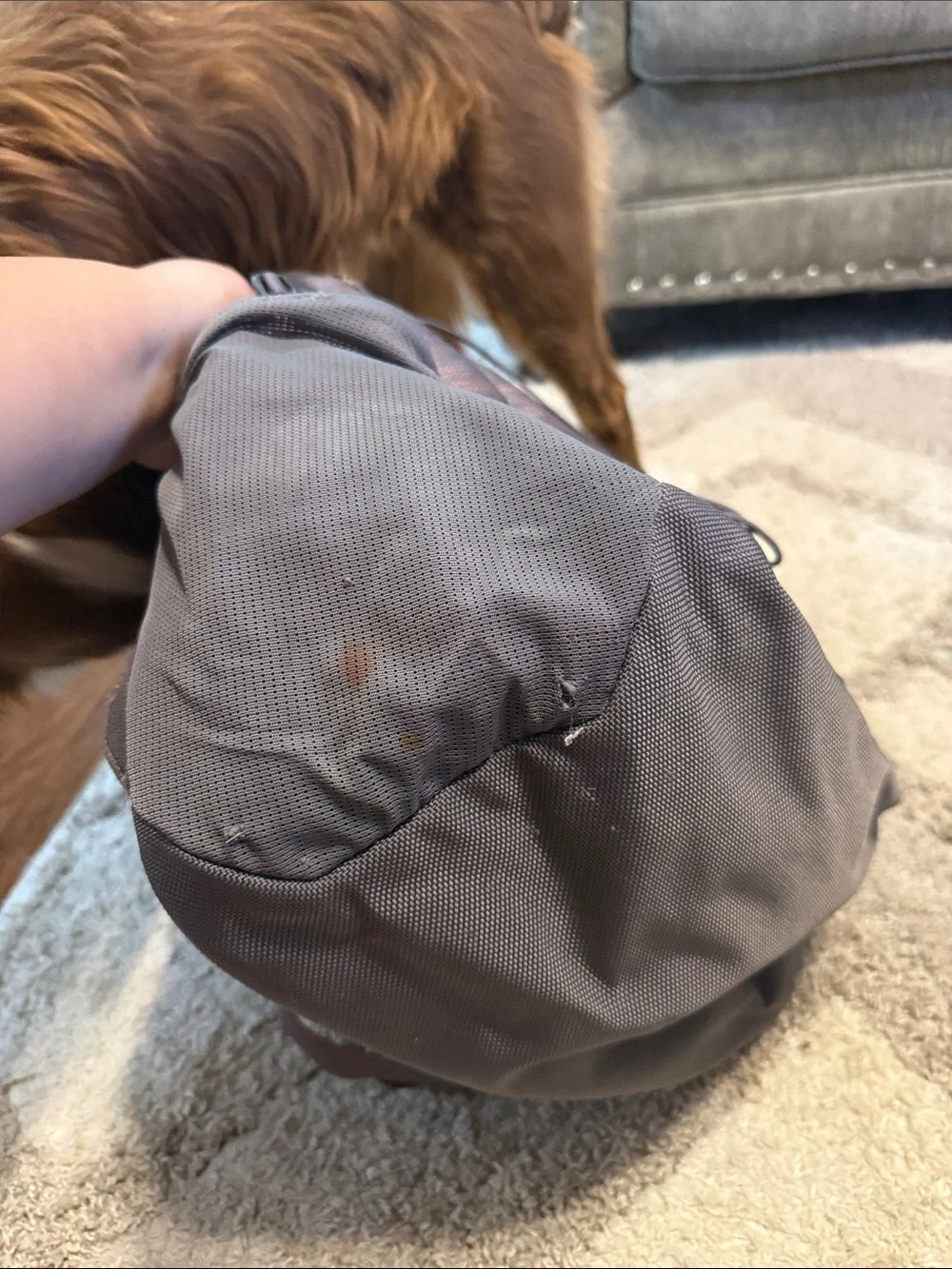 The North Face Borealis Backpack in Dark Brown with Black Accents